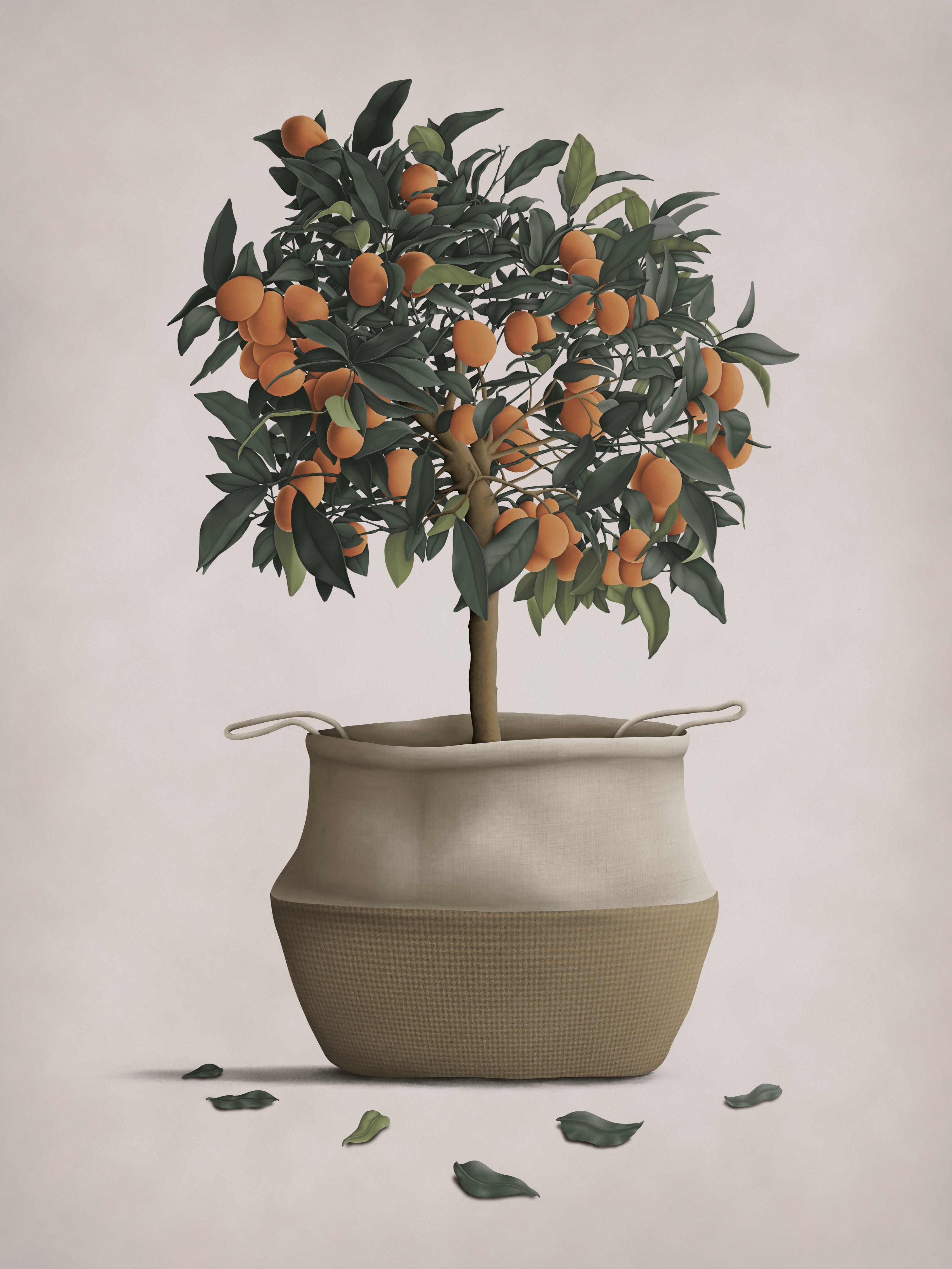 Kumquat May Art Print