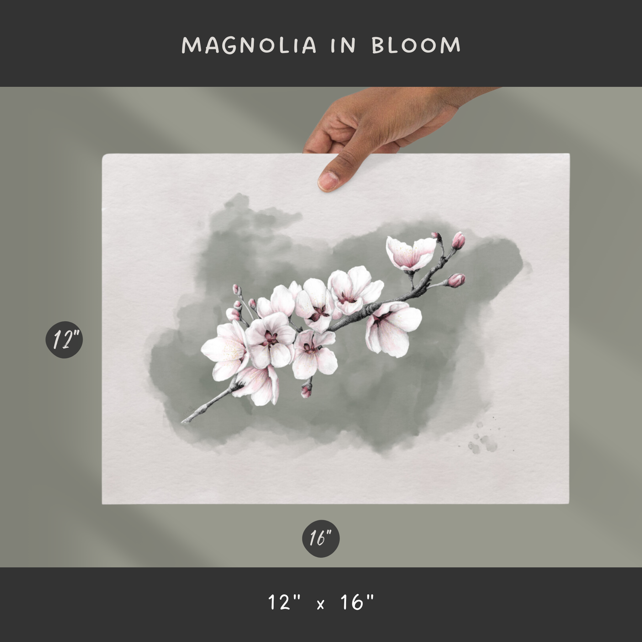 Magnolia In Bloom Art Print