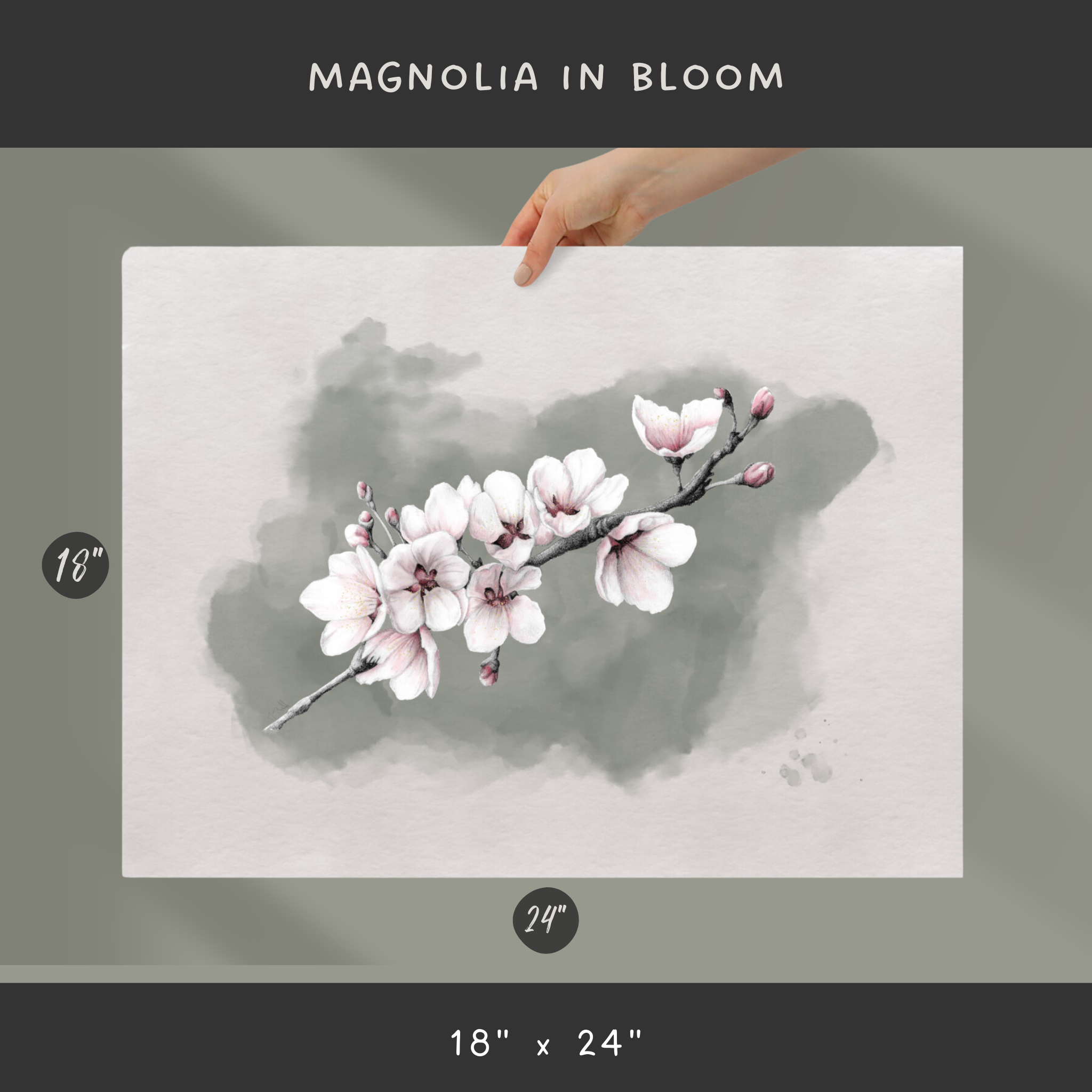 Magnolia In Bloom Art Print