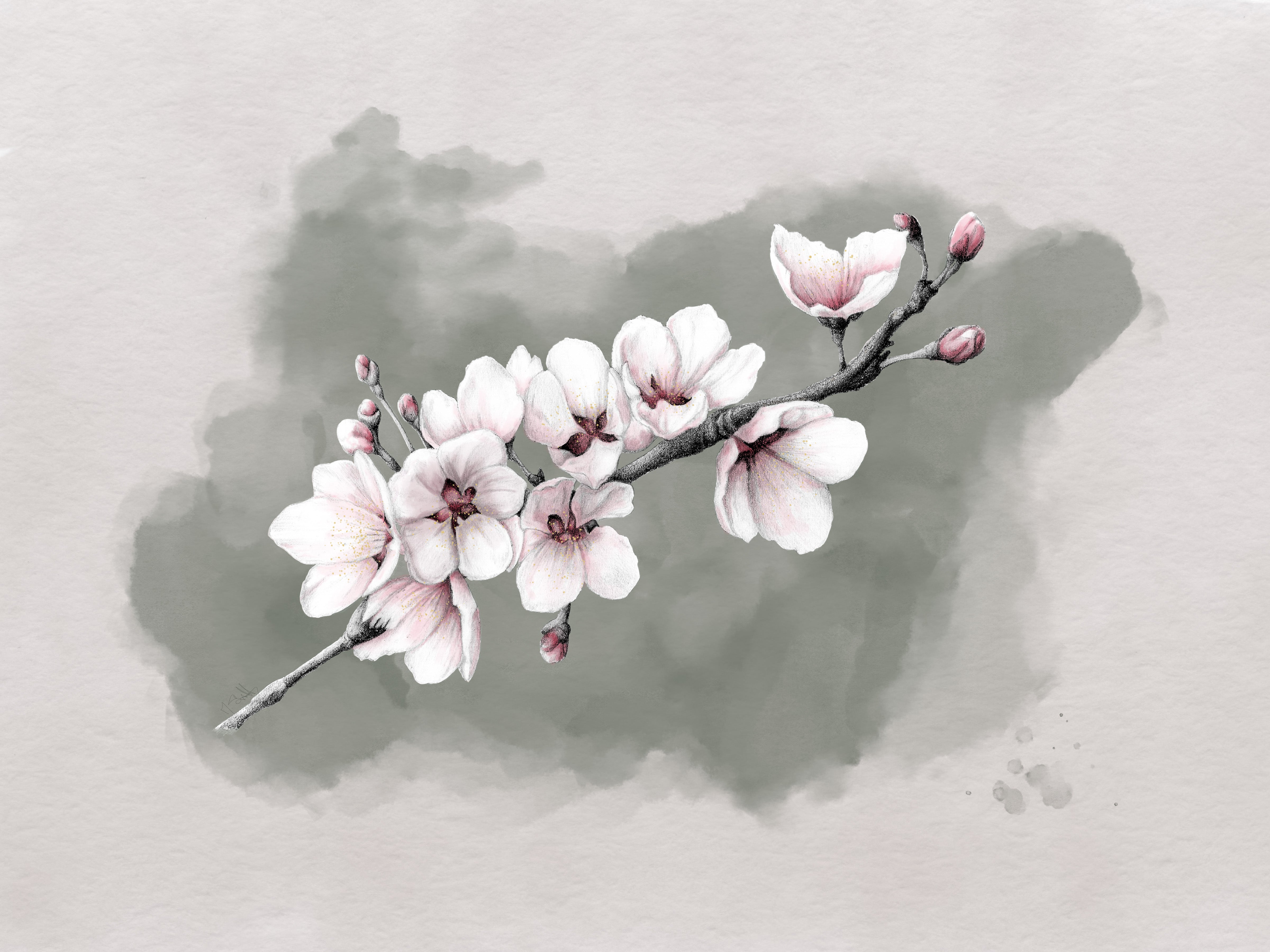 Magnolia Branch Color Resized Beige.jpg__PID:2a3296f2-4ab1-4f1b-b364-042e78c6a3dd