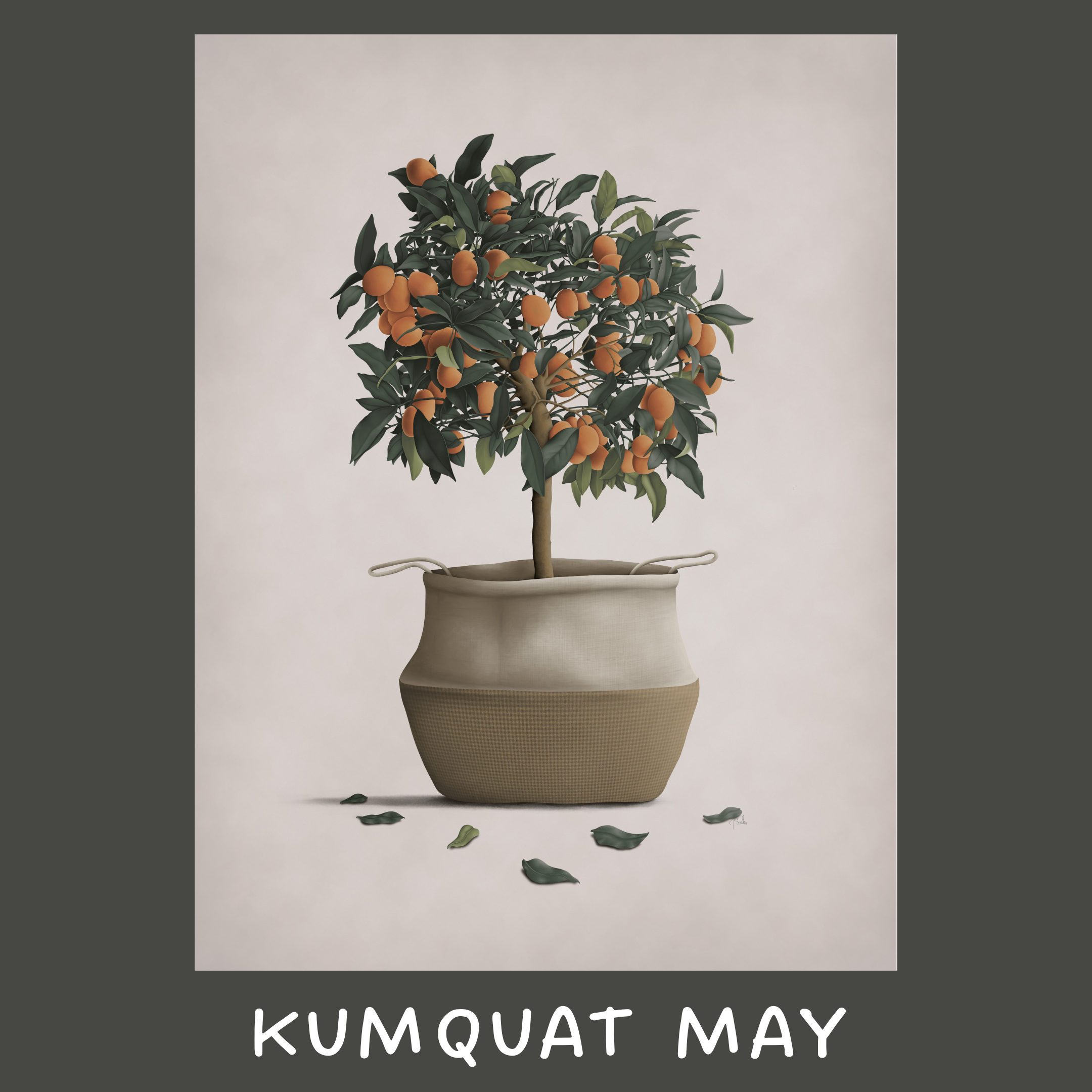 kumquat may high res.png__PID:9a21cae6-704c-4114-afd2-a56a25074a53